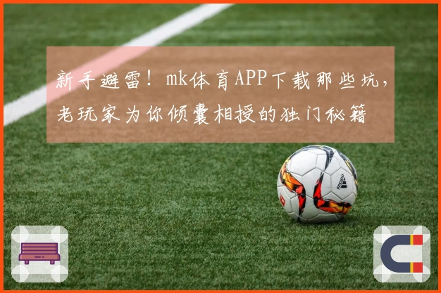 新手避雷！mk体育APP下载那些坑，老玩家为你倾囊相授的独门秘籍