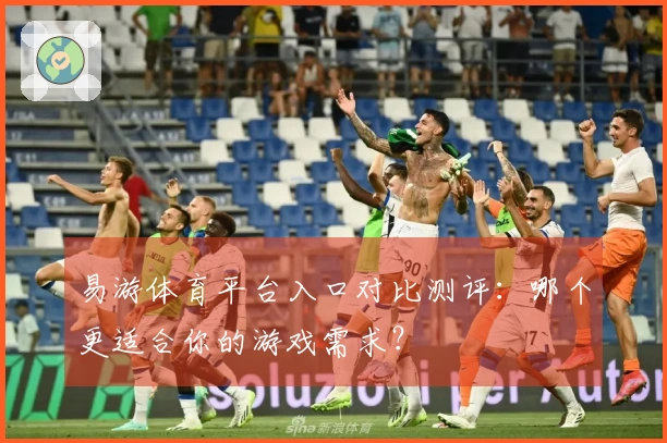 易游体育平台入口对比测评：哪个更适合你的游戏需求？