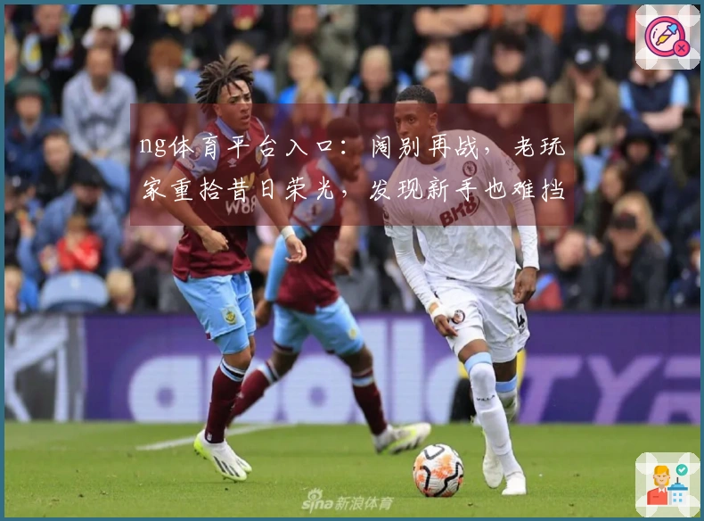 ng体育平台入口：阔别再战，老玩家重拾昔日荣光，发现新手也难挡的趣味升级之路